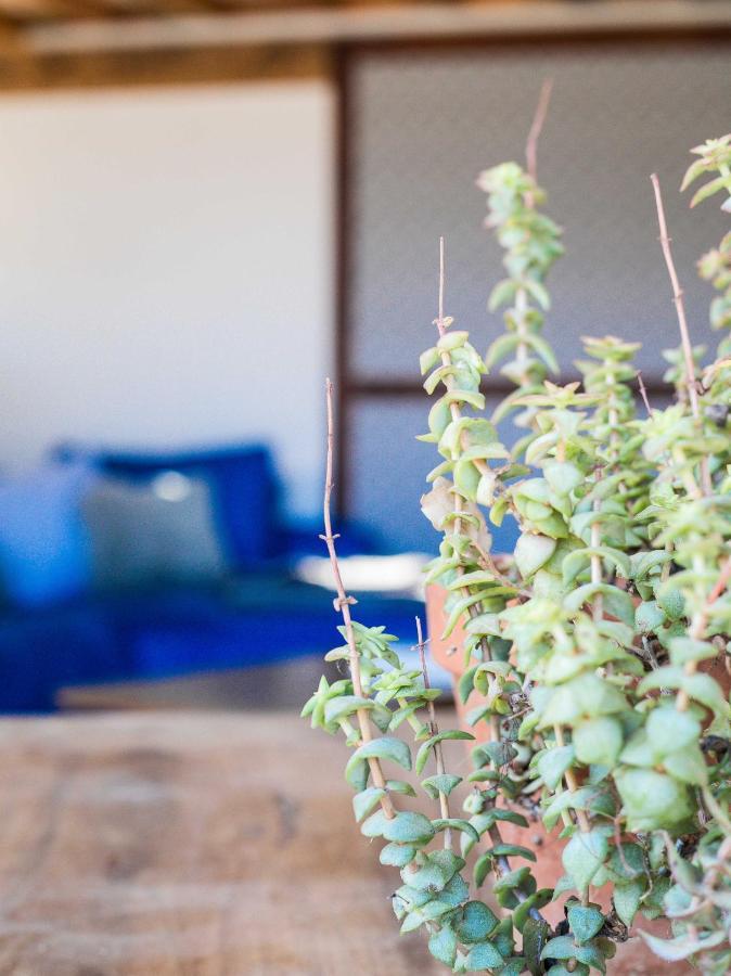 Eco Lodge Carbonaccio Chiatra Dış mekan fotoğraf