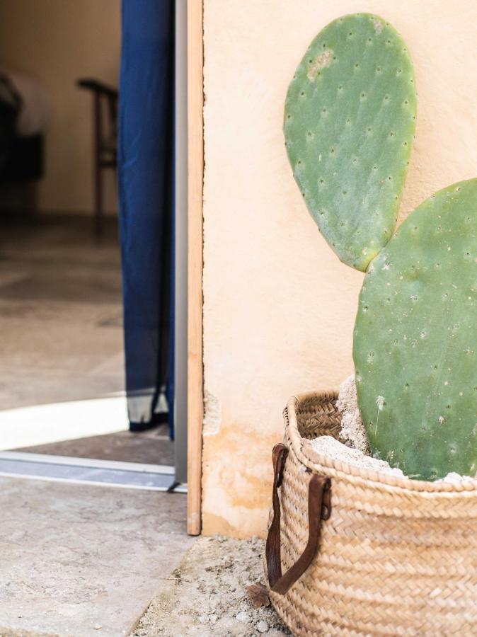 Eco Lodge Carbonaccio Chiatra Dış mekan fotoğraf