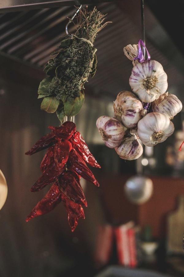 Eco Lodge Carbonaccio Chiatra Dış mekan fotoğraf